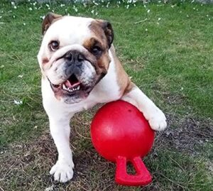 jolly pets tug n toss dog toy ball with handle – durable interactive chew & fetch toy for medium dogs