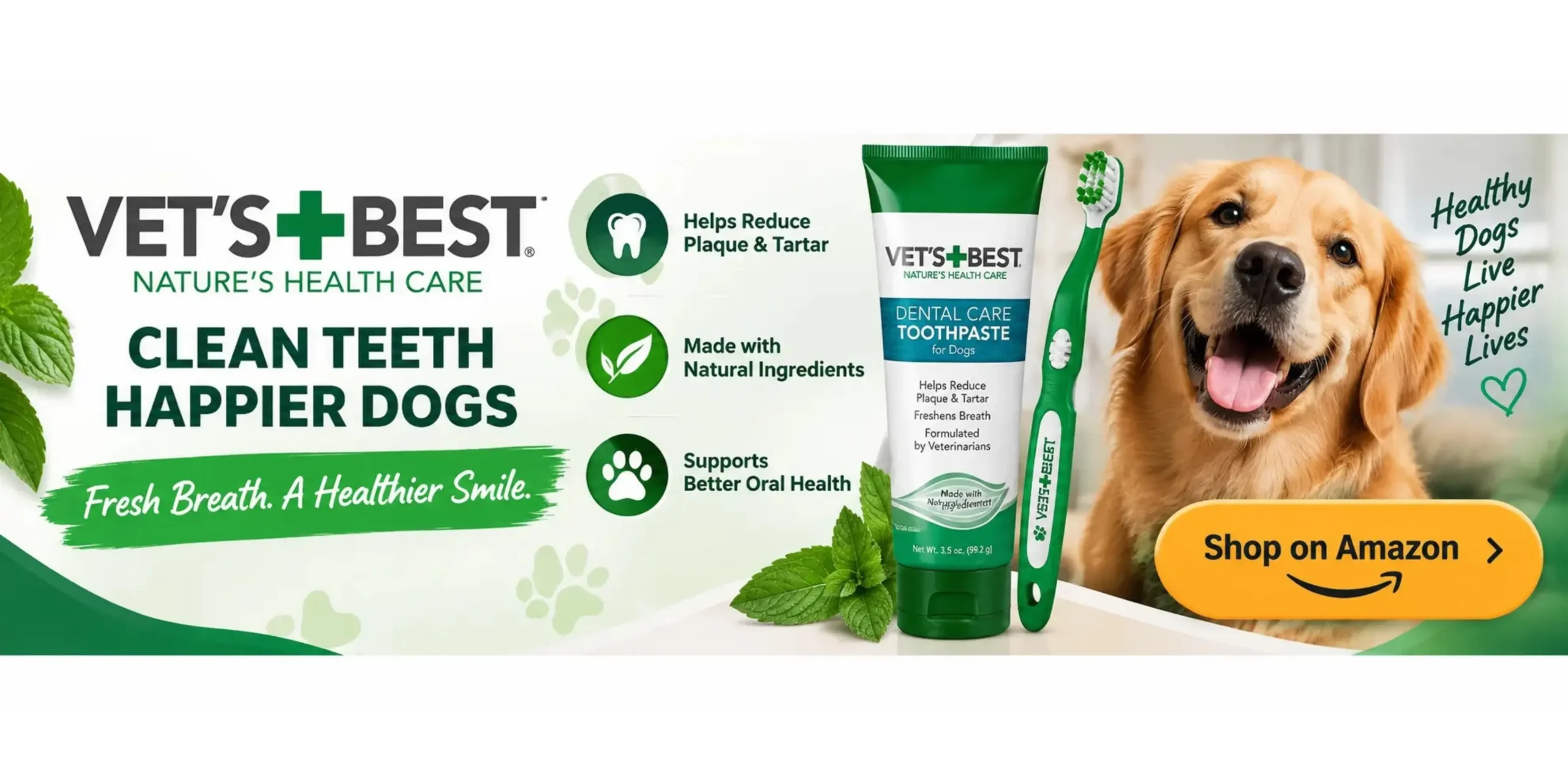 Toothbrush Dental Care Toothbrush Dental Care